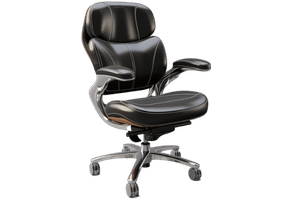 Office Chairs