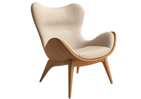 Designer Chairs