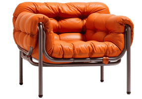 Living Room Chairs