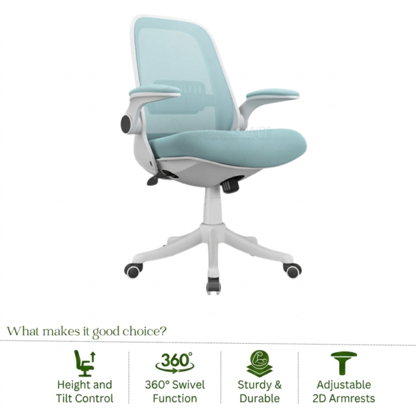 Ergonomic Mesh Office Chair with Adjustable Lumbar Support